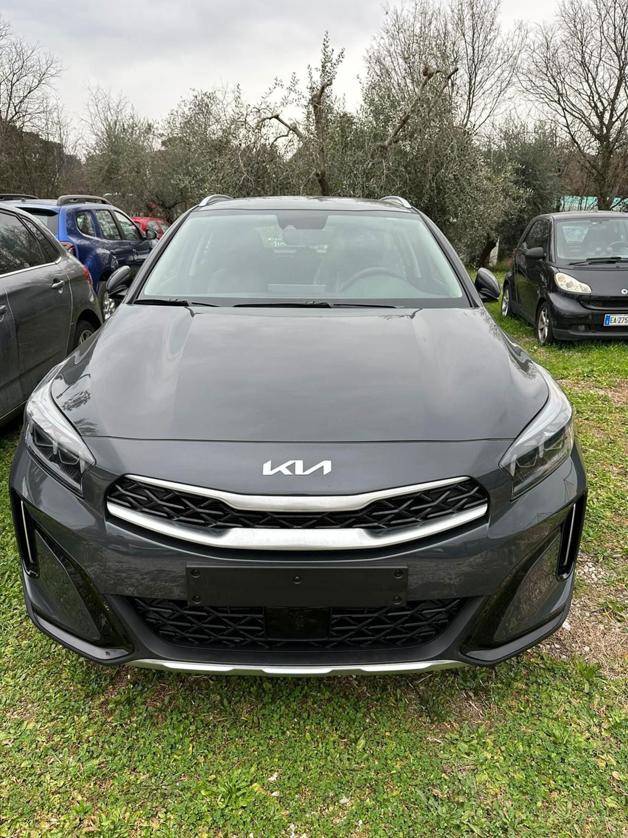 Kia XCeed 1.6 CRDi 136 CV MHEV iMT Business  nuova a Firenze