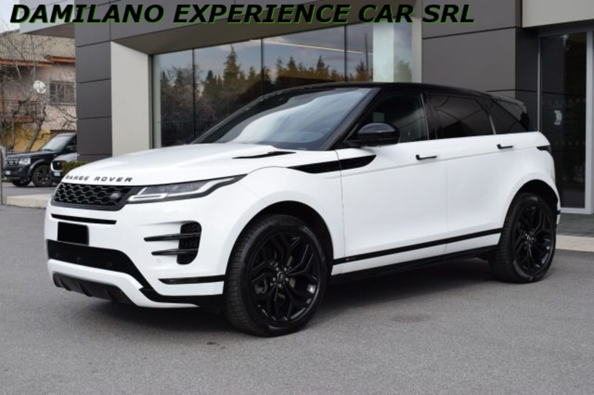 Land Rover Range Rover Evoque 2.0D I4-L.Flw 150 CV AWD Auto R-Dynamic del 2019 usata a Cuneo