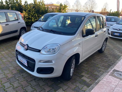 Fiat Panda 1.2 EasyPower Easy  del 2016 usata a Terranuova Bracciolini