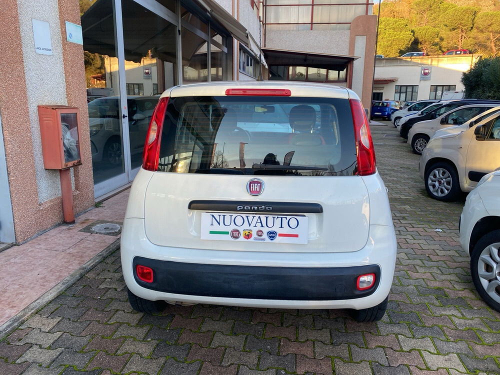 Fiat Panda usata a Arezzo (8)