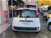 Fiat Panda 1.2 EasyPower Easy  del 2016 usata a Terranuova Bracciolini (8)