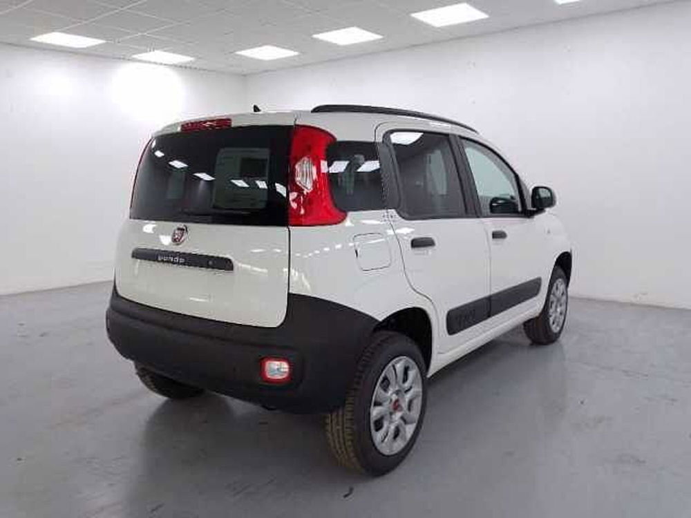 Fiat Panda nuova a Cuneo (8)