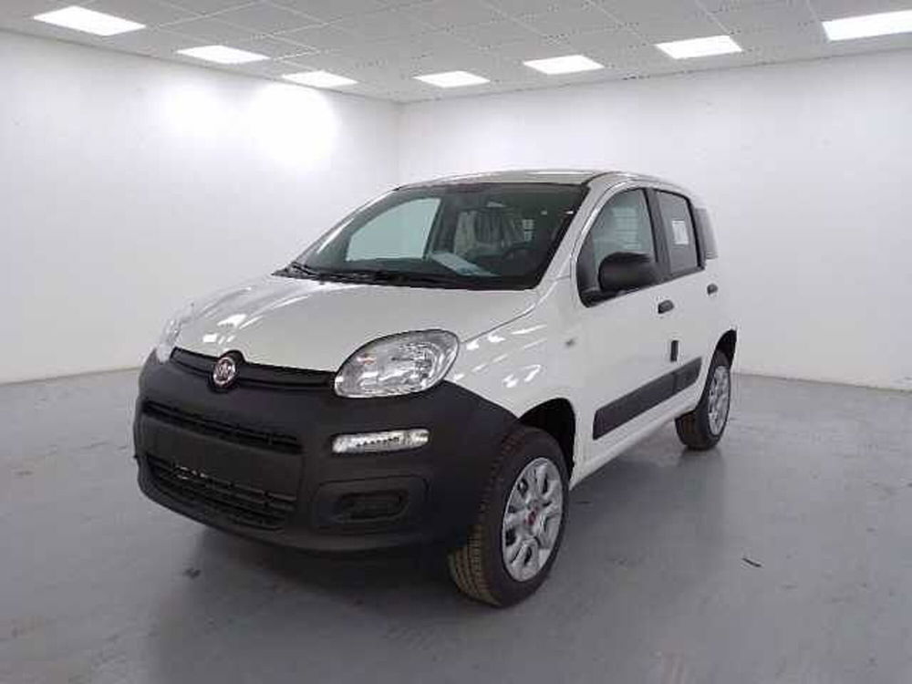 Fiat Panda nuova a Cuneo