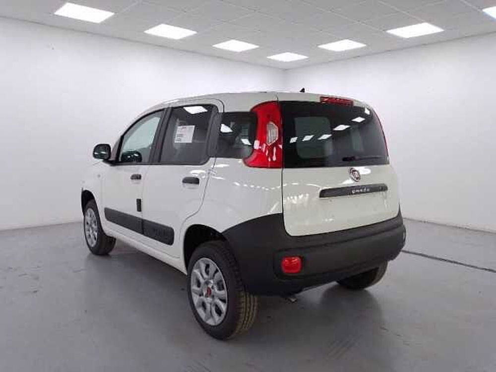 Fiat Panda nuova a Cuneo (6)