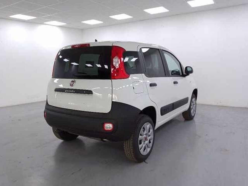 Fiat Panda nuova a Cuneo (8)