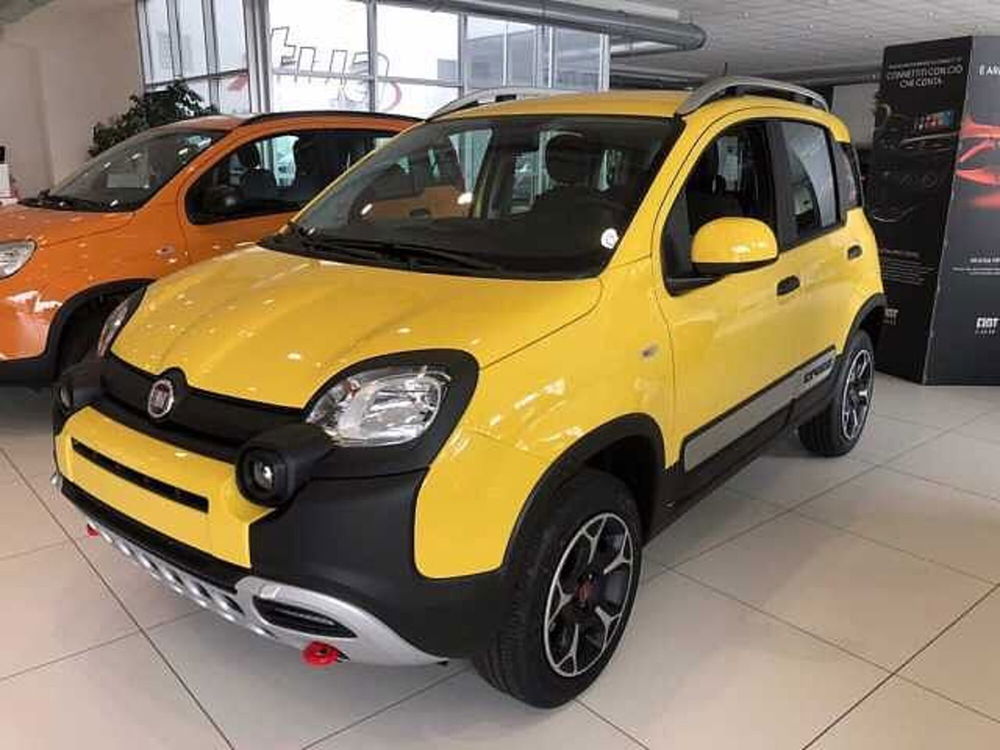 Fiat Panda usata a Cuneo