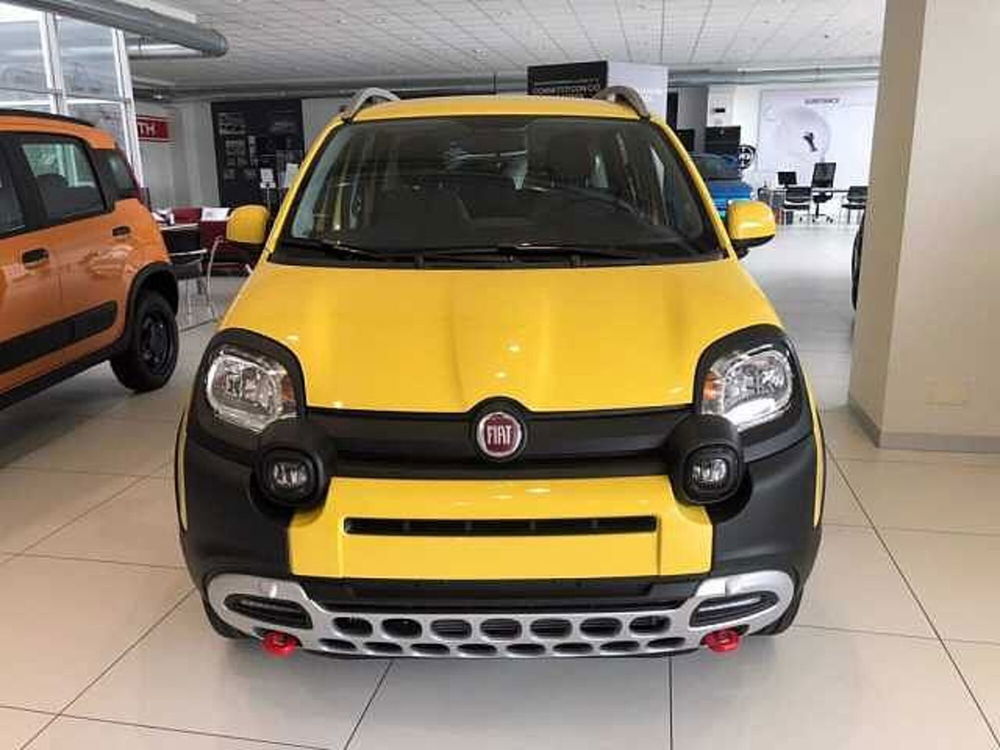 Fiat Panda usata a Cuneo (2)