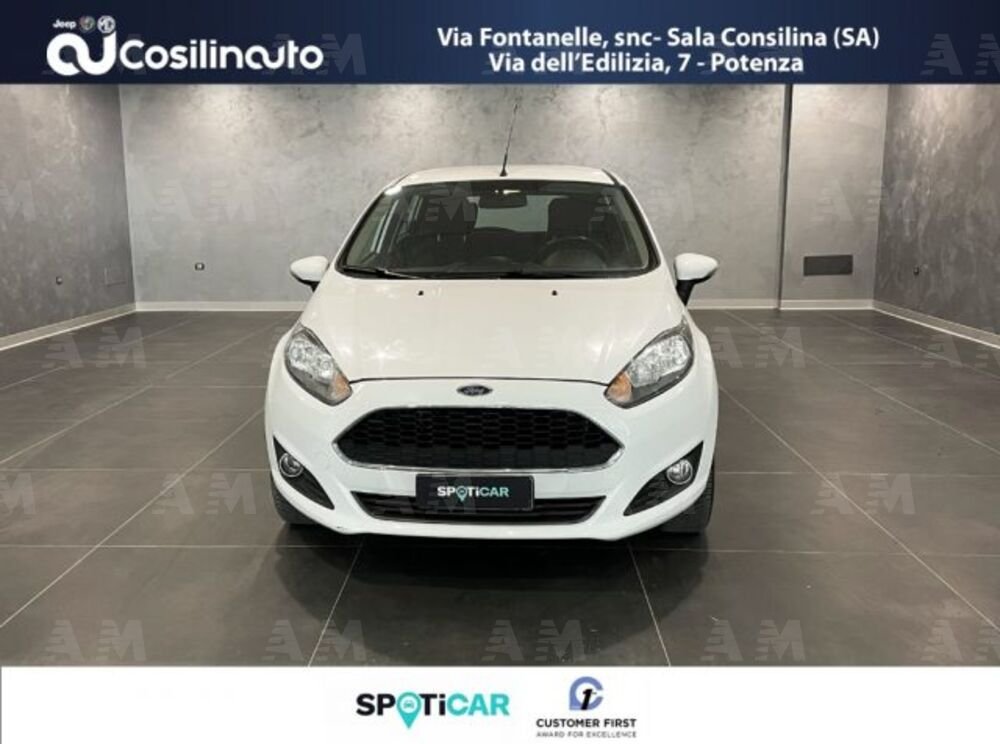 Ford Fiesta 1.4 5p. Bz.- GPL Titanium  del 2017 usata a Sala Consilina (2)