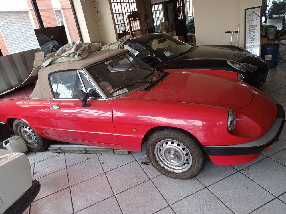 Alfa Romeo Spider usata a Imperia