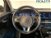 Kia Niro 1.6 GDi DCT PHEV Evolution del 2020 usata a Manerbio (19)