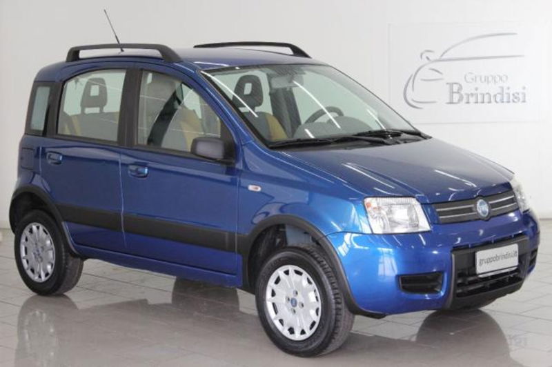 Fiat Panda 1.2 4x4  del 2006 usata a Potenza