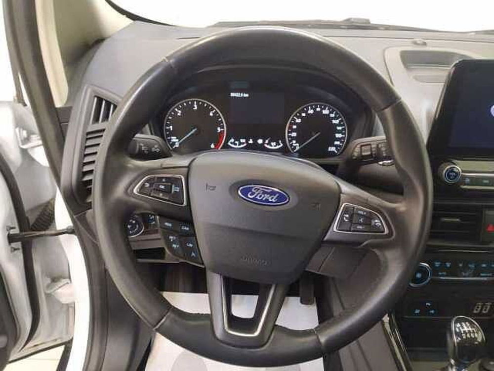 Ford EcoSport usata a Cuneo (13)