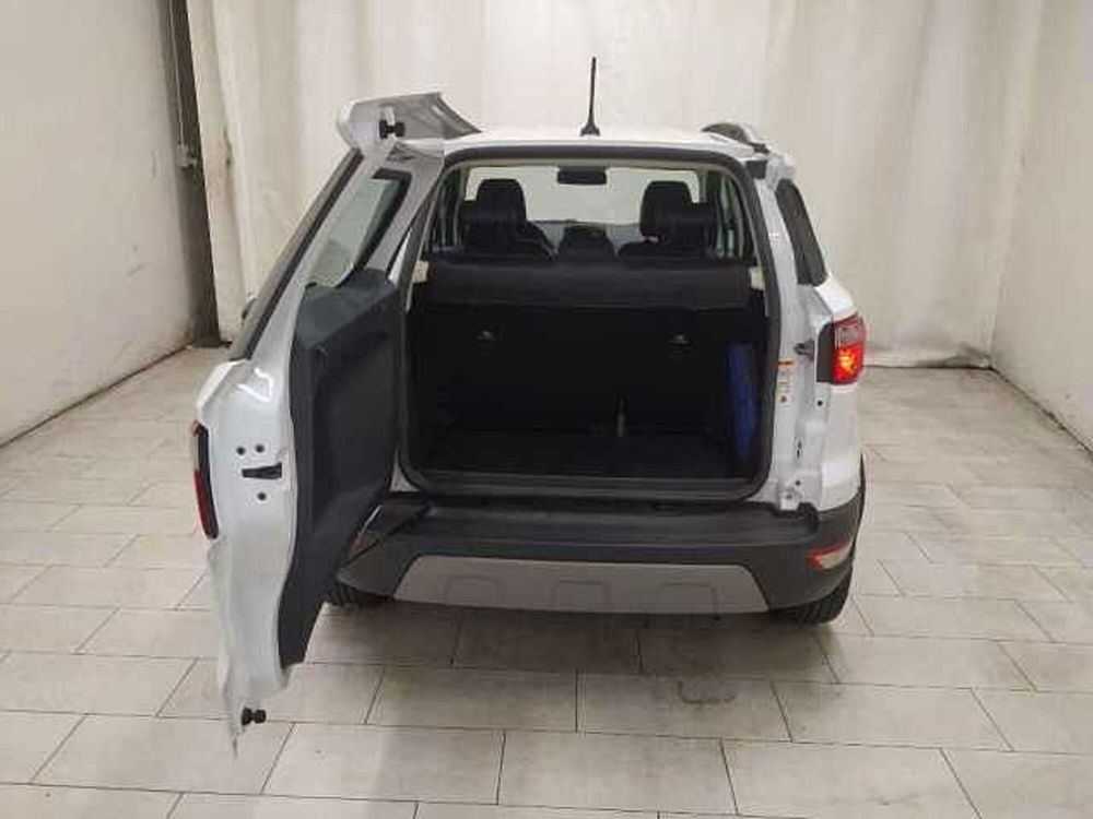 Ford EcoSport usata a Cuneo (8)