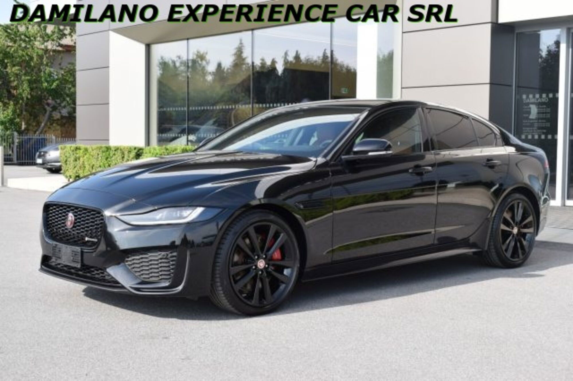 Jaguar XE 2.0 D 204 CV AWD aut. R-Dynamic Black  nuova a Cuneo