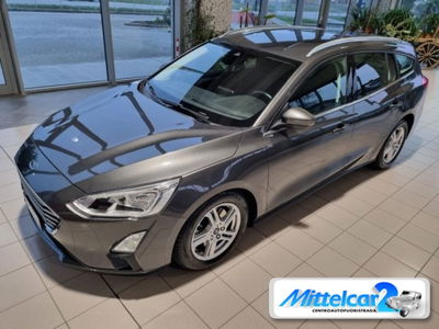 Ford Focus Station Wagon 1.5 EcoBlue 95 CV SW del 2019 usata a Cassacco