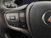 Lexus UX Hybrid Business del 2021 usata a Torino (14)