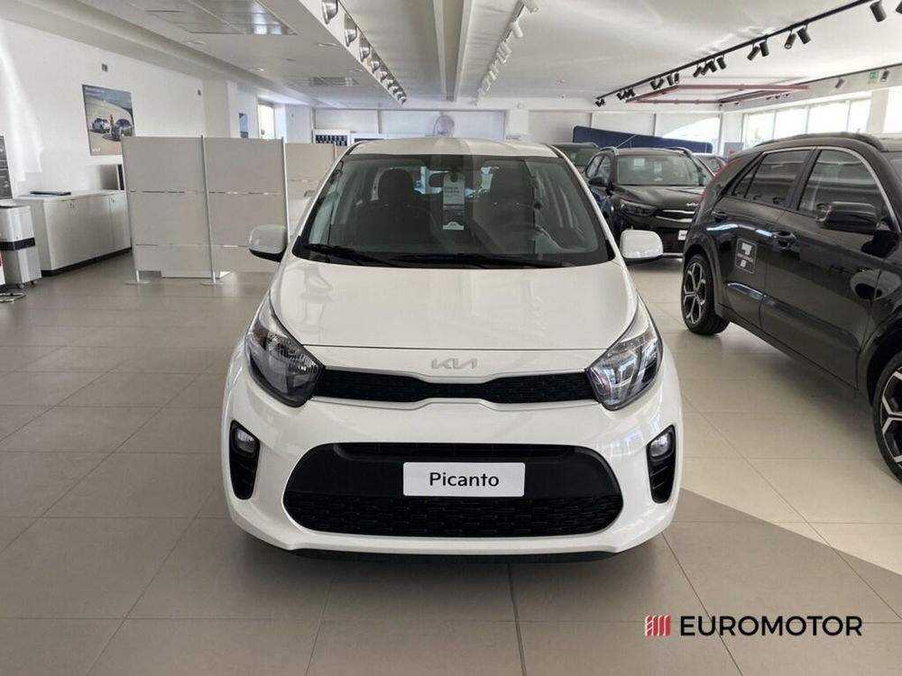 Kia Picanto nuova a Bari (2)