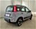 Fiat Panda 1.0 FireFly S&S Hybrid City Cross  del 2021 usata a Torino (6)
