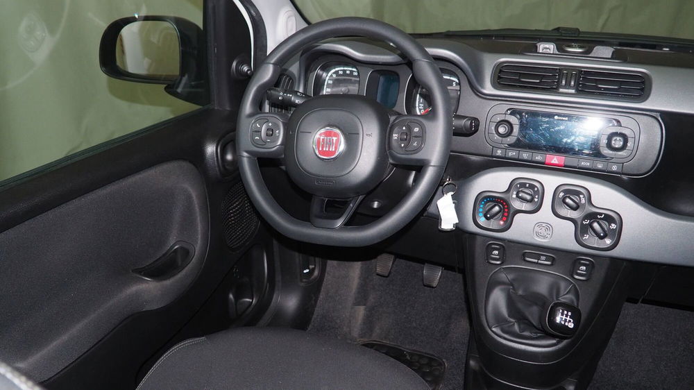 Fiat Panda Cross usata a Torino (15)