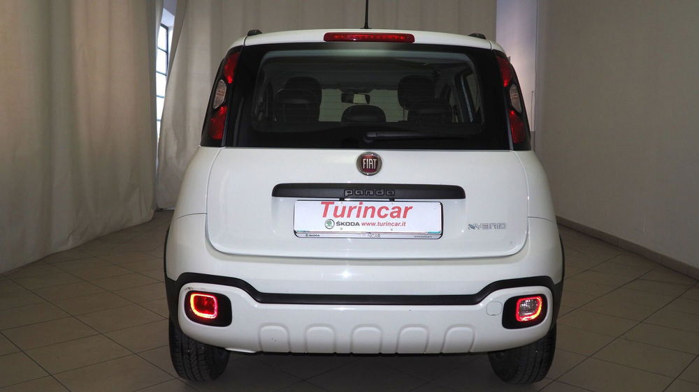 Fiat Panda Cross usata a Torino (7)