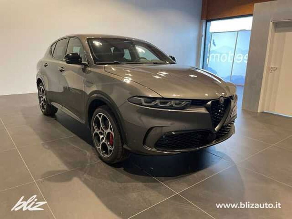 Alfa Romeo Tonale usata a Udine (3)