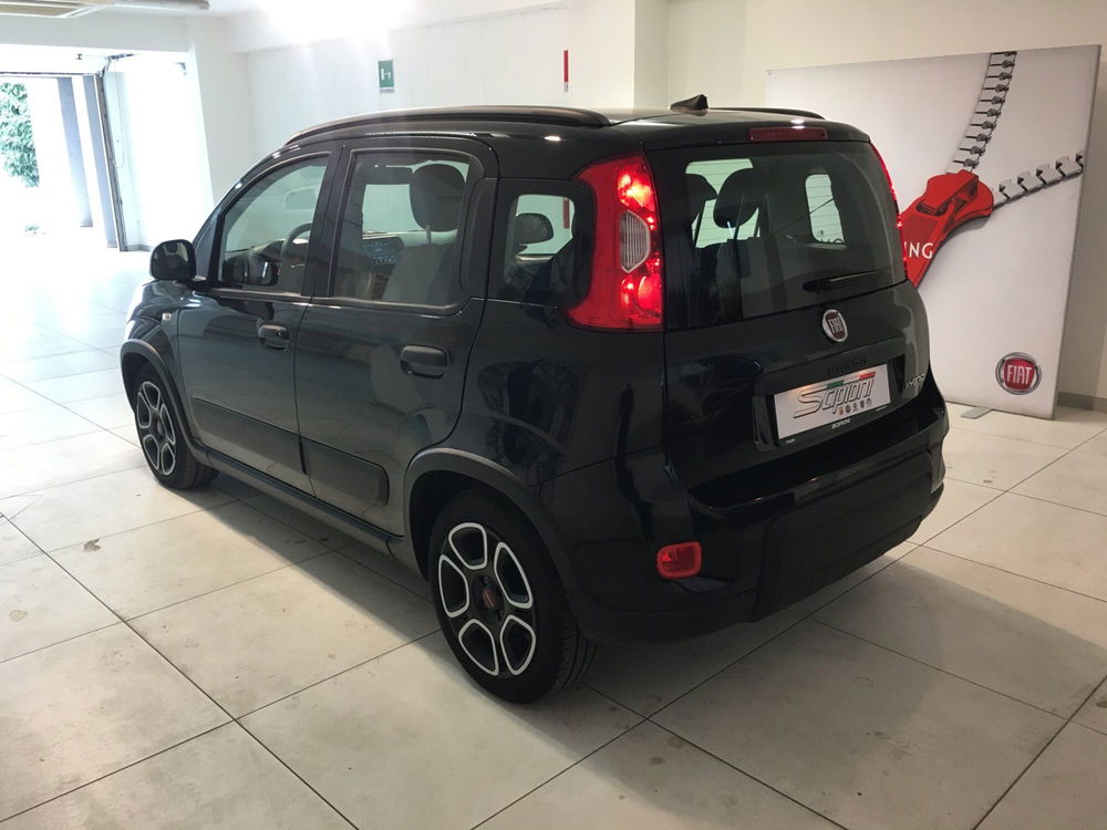 Fiat Panda usata a L'Aquila (14)