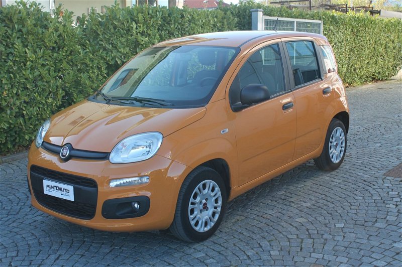Fiat Panda 1.2 Easy  del 2019 usata a Cuneo