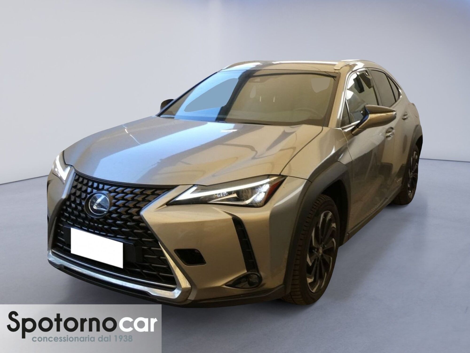 Lexus UX Hybrid 4WD Premium  del 2019 usata a Sesto San Giovanni