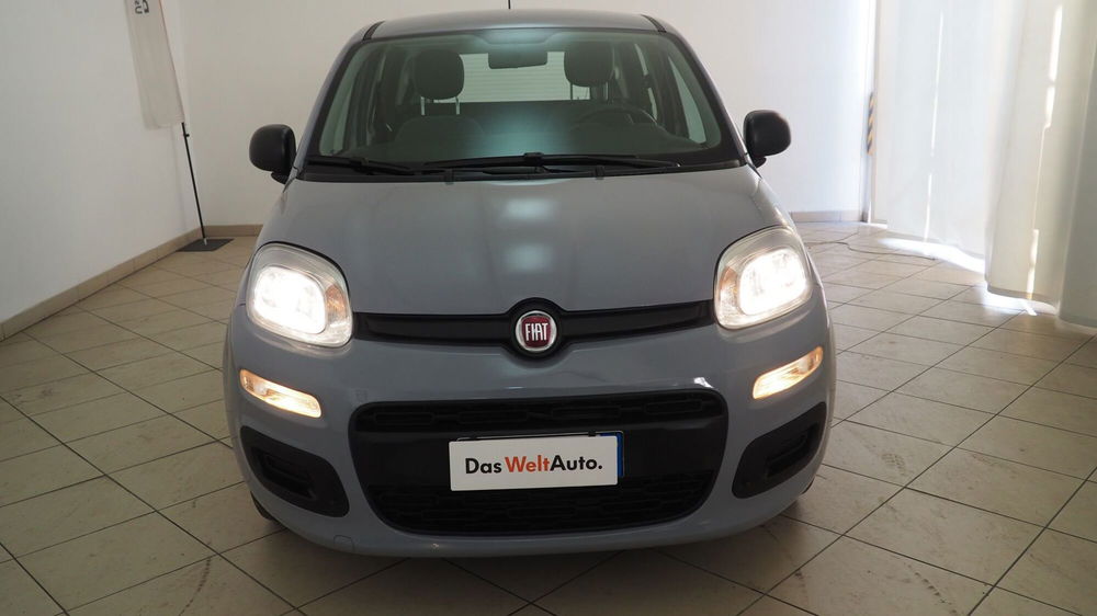 Fiat Panda usata a Torino (16)