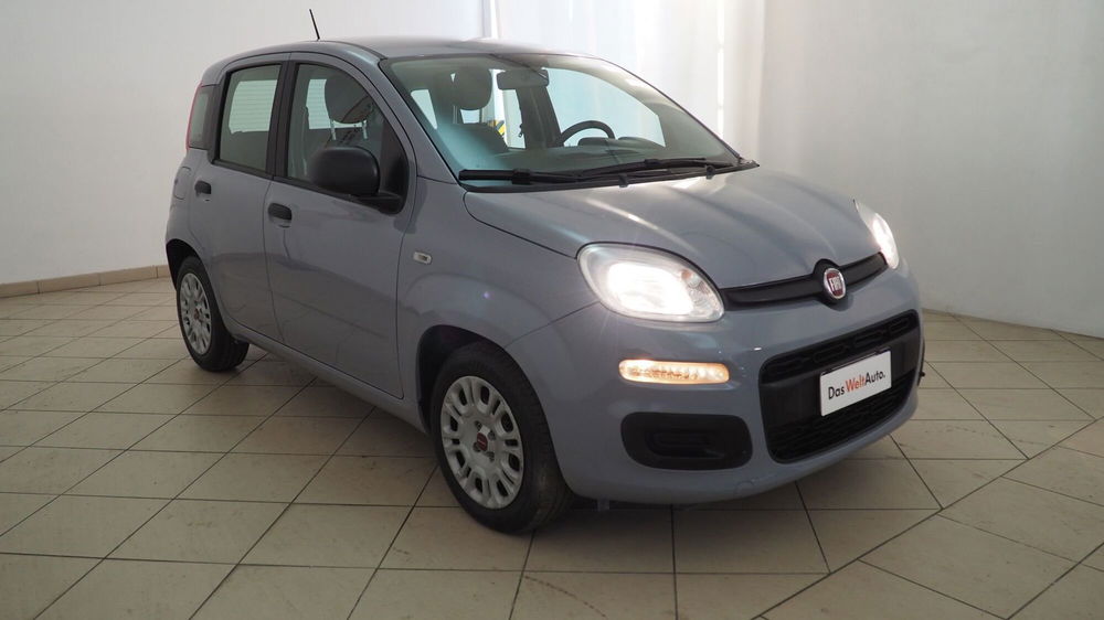 Fiat Panda usata a Torino (17)