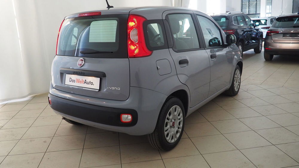 Fiat Panda Cross usata a Torino (18)