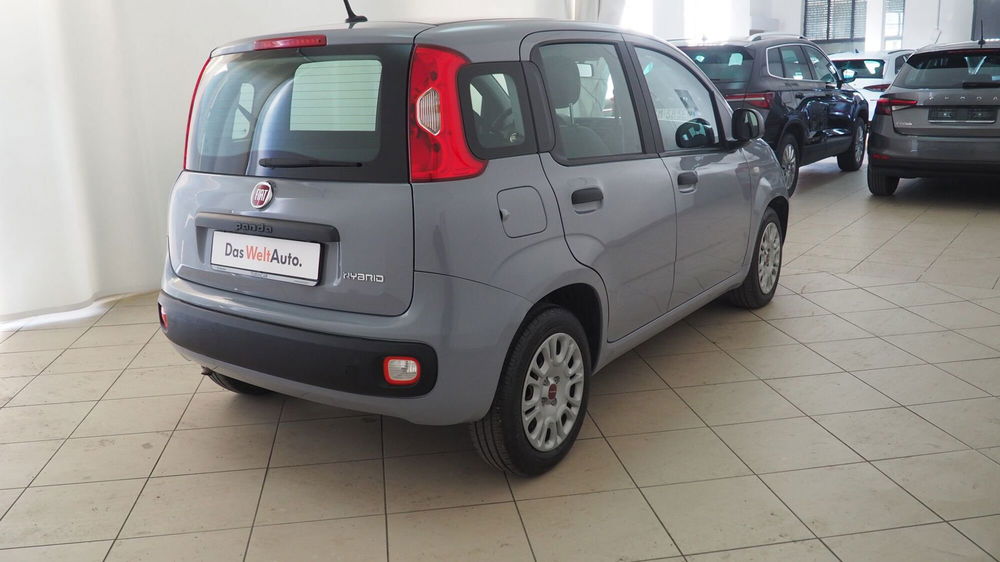 Fiat Panda usata a Torino (6)