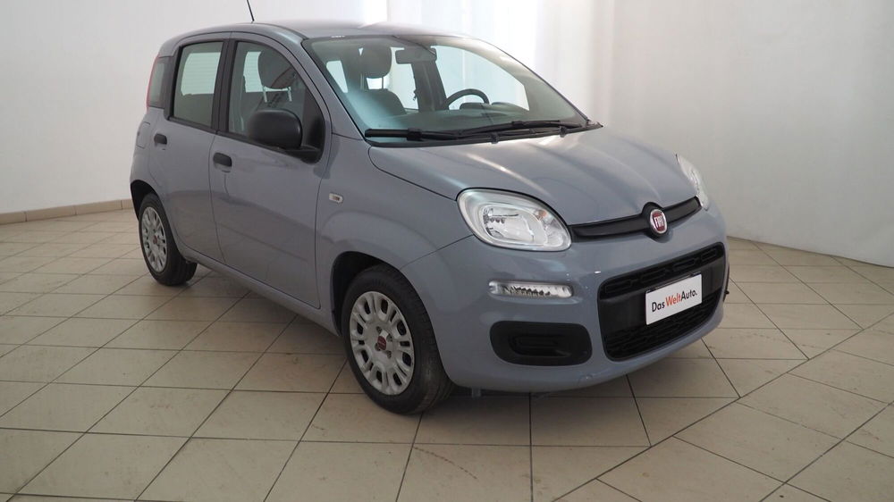 Fiat Panda Cross usata a Torino (7)