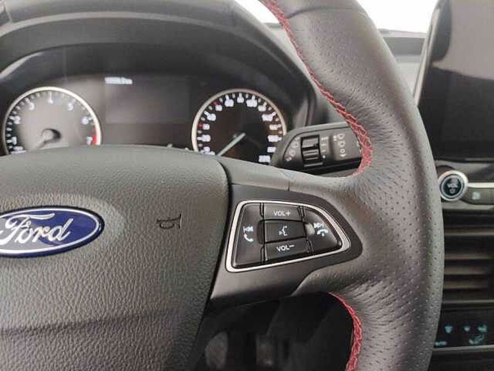 Ford EcoSport usata a Torino (14)