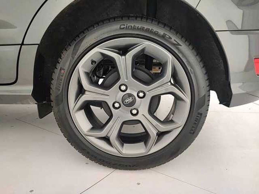 Ford EcoSport usata a Torino (10)