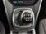 Ford Kuga 2.0 TDCI 120 CV S&S 2WD Business N1 del 2019 usata a Torino (12)