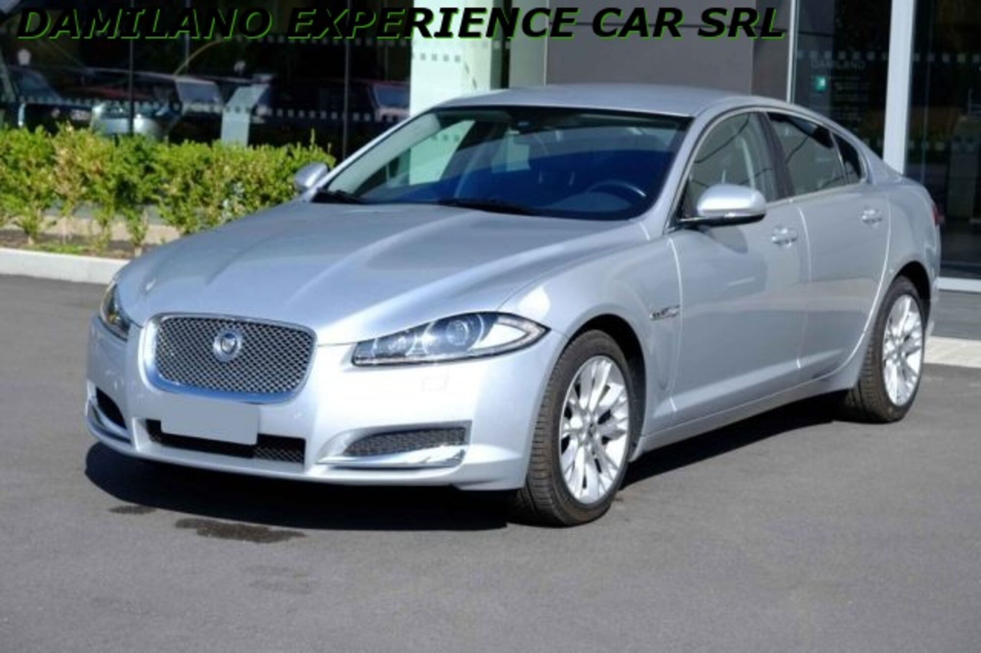 Jaguar XF 2.2 D 190 CV del 2012 usata a Cuneo