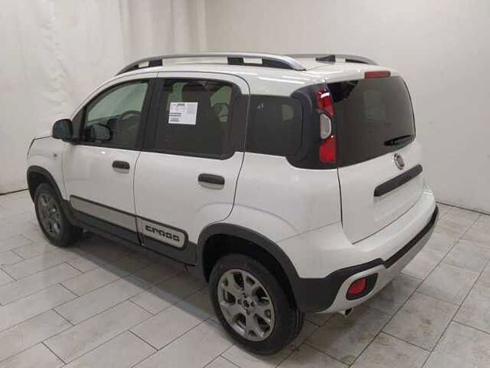 Fiat Panda nuova a Cuneo (6)