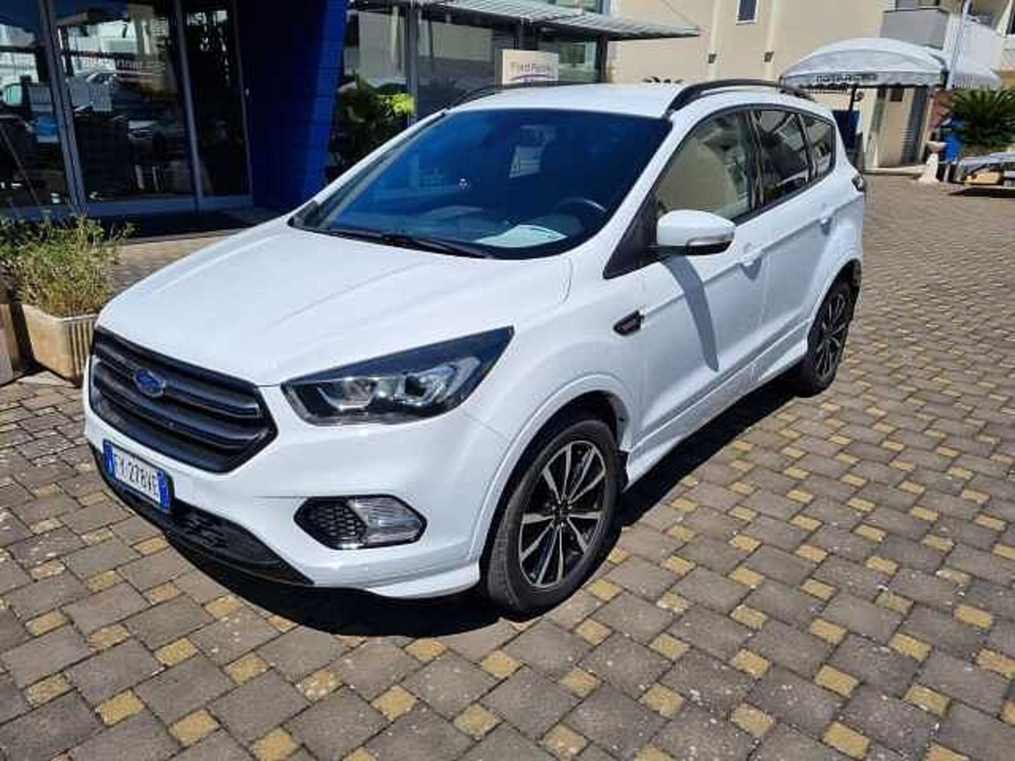 Ford Kuga 1.5 EcoBlue 120 CV 2WD ST-Line  del 2019 usata a Monopoli