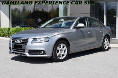 Audi A4 2.0 TDI 143CV F.AP.  del 2008 usata a Cuneo