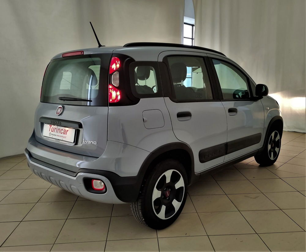 Fiat Panda Cross usata a Torino (6)