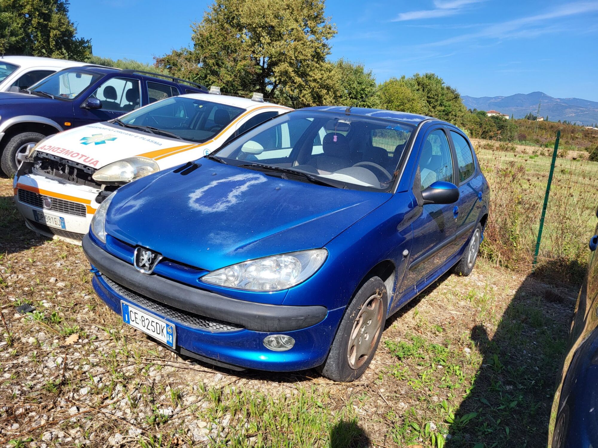 Peugeot 206 5p. S  del 2004 usata a Terranuova Bracciolini