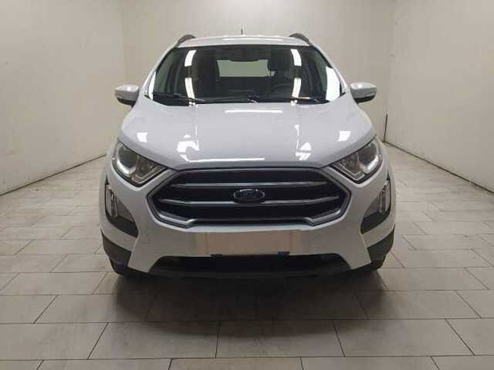 Ford EcoSport usata a Cuneo (2)