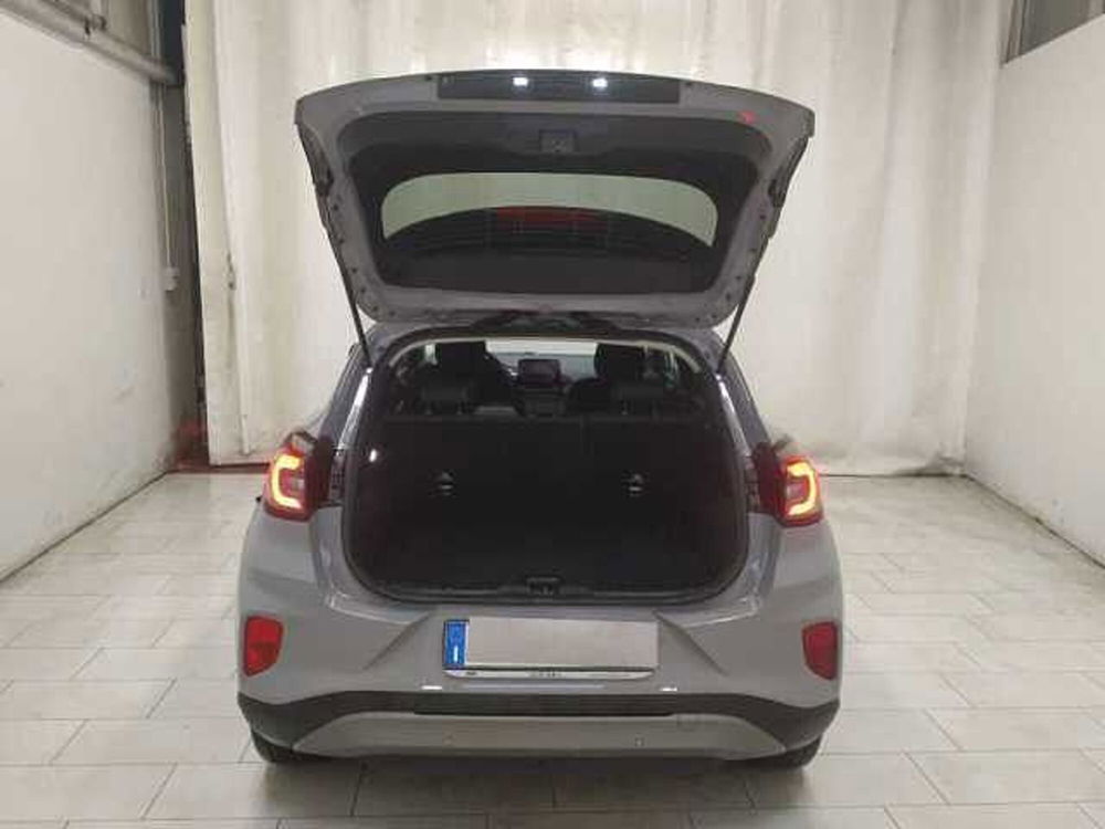 Ford Puma usata a Cuneo (10)