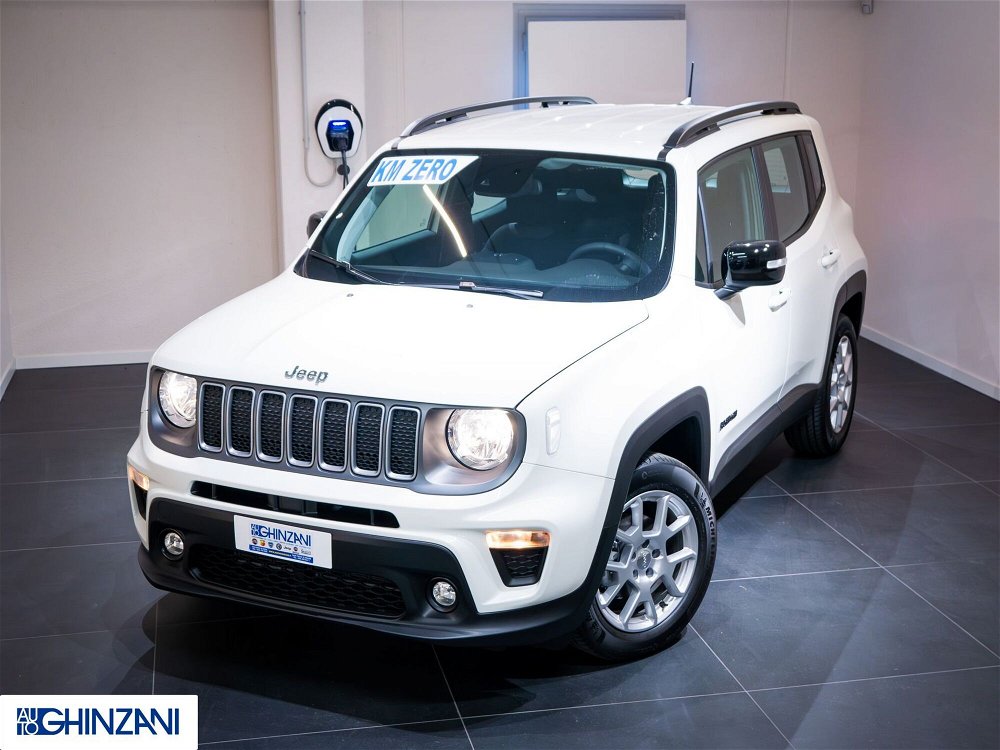Jeep Renegade 1.0 T3 Limited  nuova a San Paolo d'Argon (2)