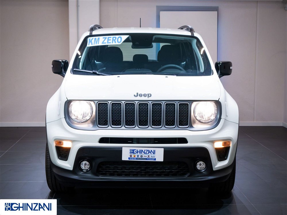 Jeep Renegade 1.0 T3 Limited  nuova a San Paolo d'Argon (3)