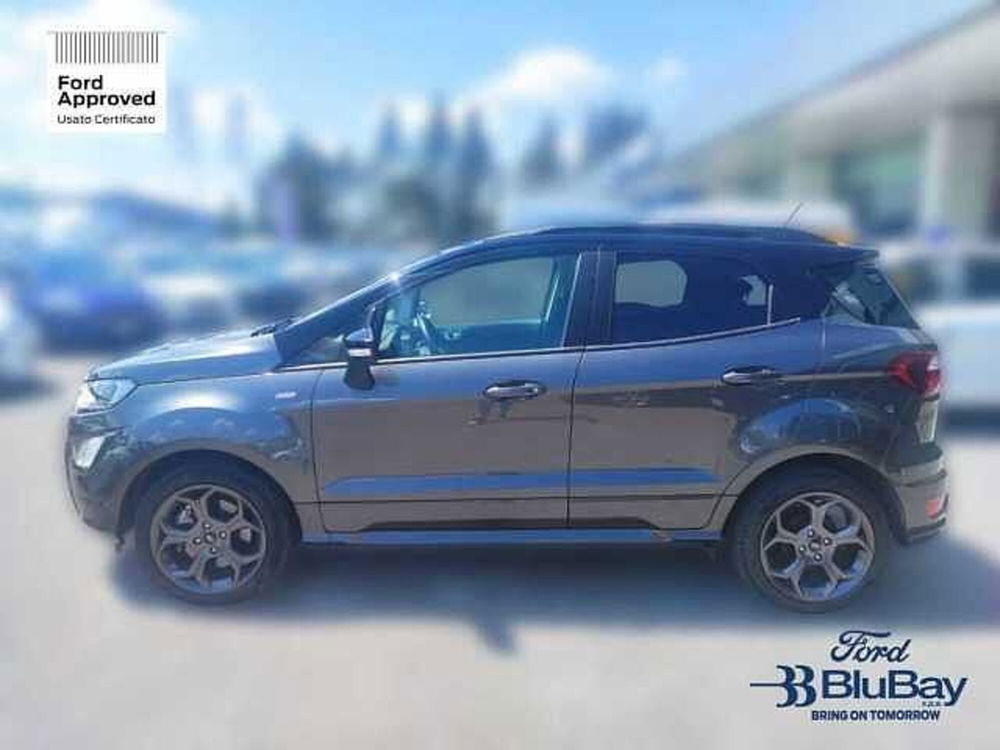 Ford EcoSport usata a Livorno (12)