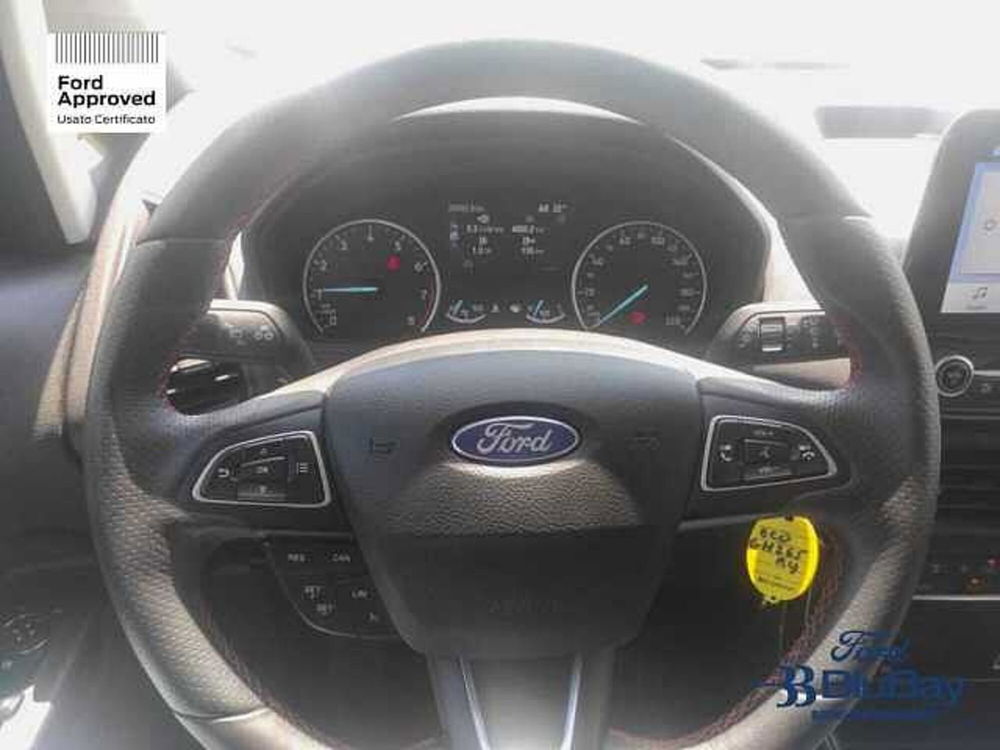 Ford EcoSport usata a Livorno (6)