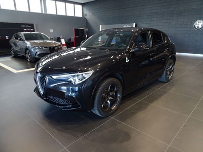 Alfa Romeo Stelvio Stelvio 2.9 Bi-Turbo V6 510 CV AT8 Quadrifoglio  del 2019 usata a Lucca