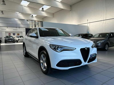 Alfa Romeo Stelvio Stelvio 2.0 Turbo 200 CV AT8 Q4 Business  del 2019 usata a Vercelli